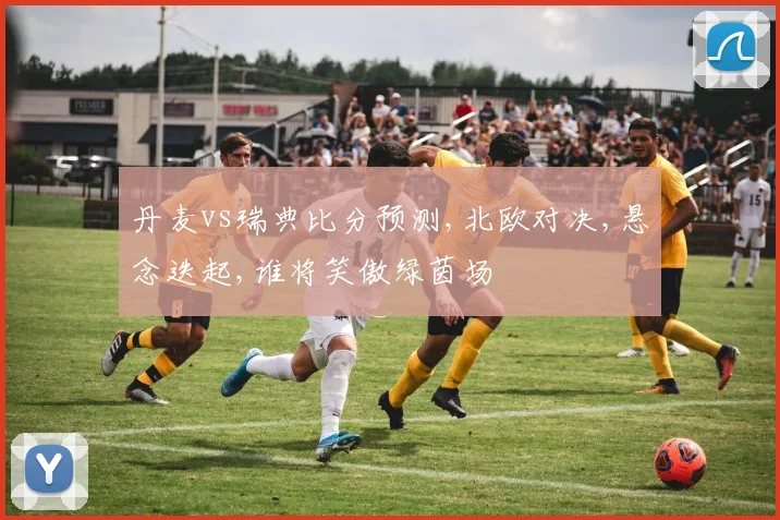 丹麦vs瑞典比分预测,北欧对决,悬念迭起,谁将笑傲绿茵场